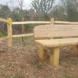 memorial-bench-3